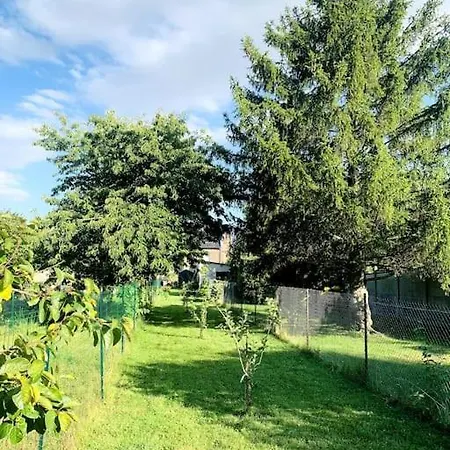 Maison, Grand Jardin A
